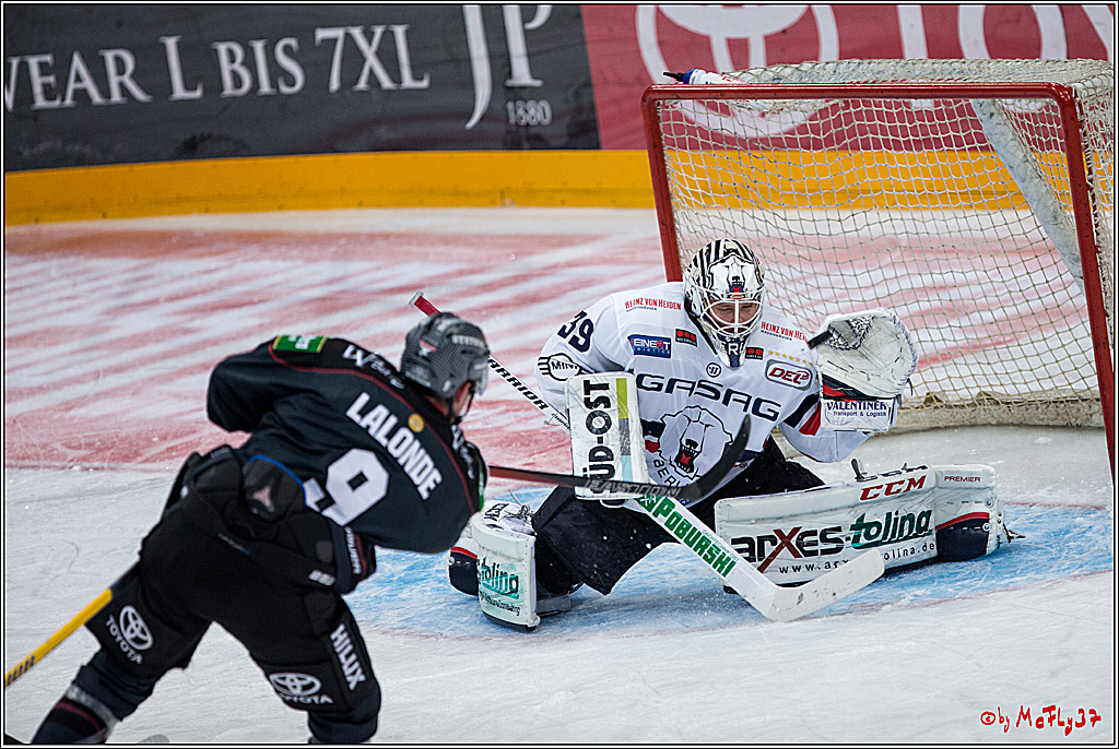 Koelner Haie - Eisbaeren Berlin, 13.11.2016